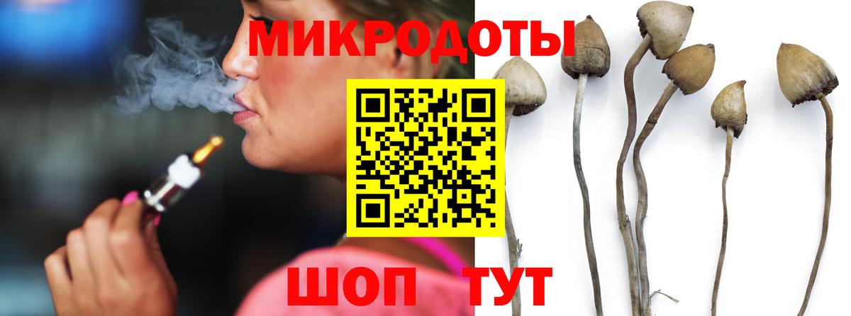 Галлюциногенные грибы мицелий Реутов